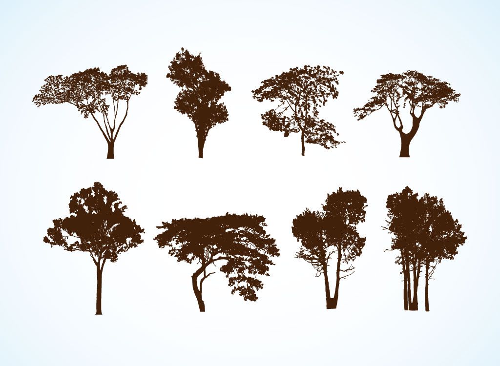 1024x750 Free Vector Trees These Are Actually Free Easy Open - Vector Tree Drawing