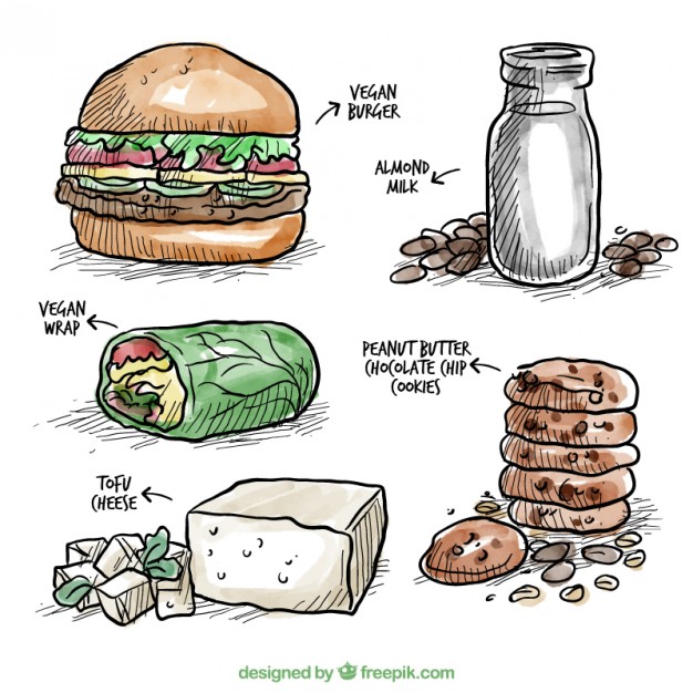 626x626 hand drawn watercolor delicious vegan food vector free download - Vegan Drawing
