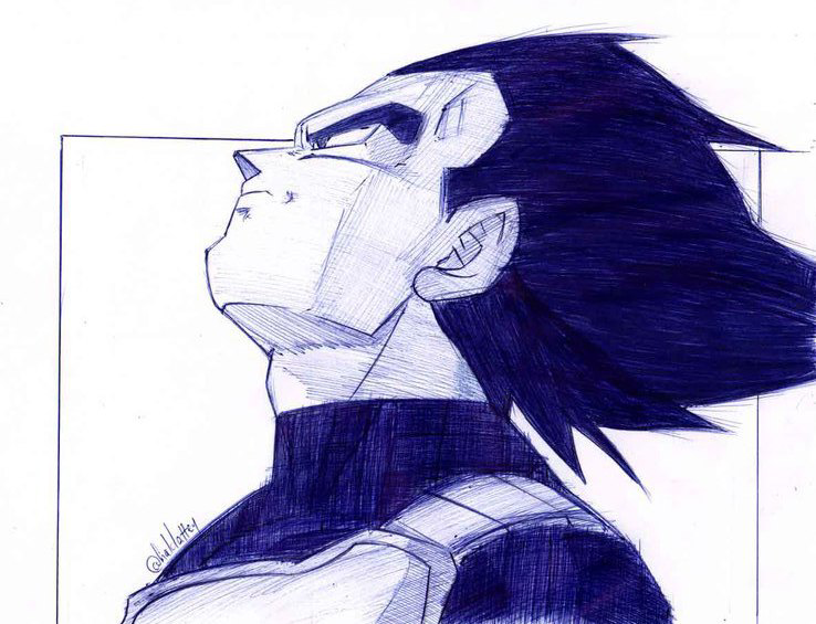 738x565 my vegeta pen drawing dbz - Vegeta Drawing