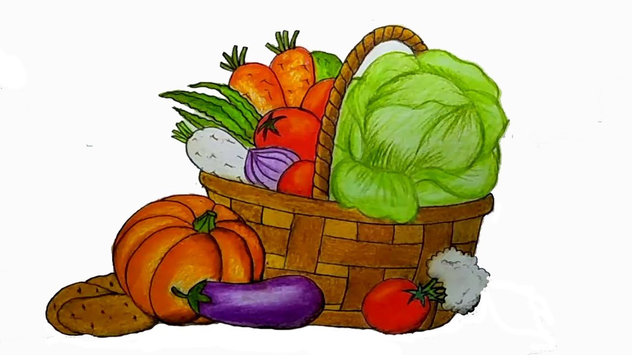 Vegetable Basket Drawing at Explore