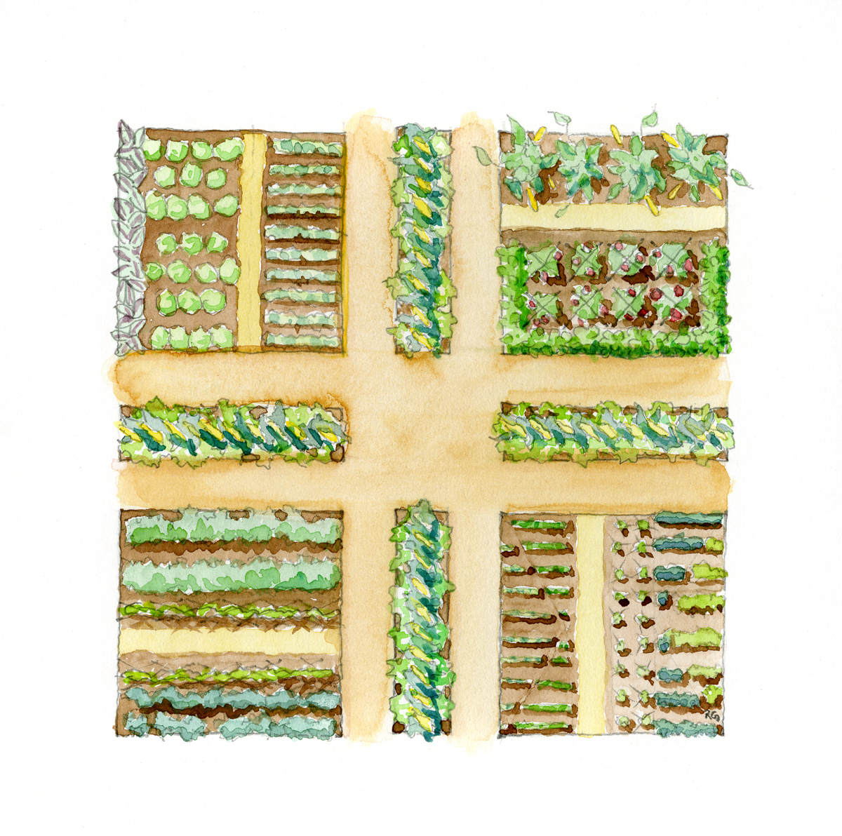 Vegetable Garden Drawing at Explore collection of