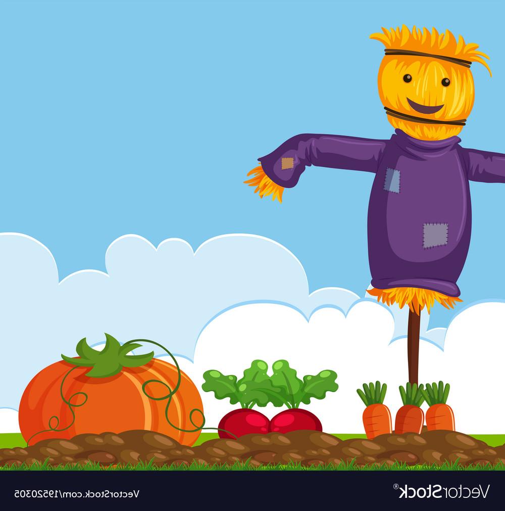 1000x1011 Top Happy Scarecrow On Vegetable Garden Vector Drawing - Vegetable Garden Drawing