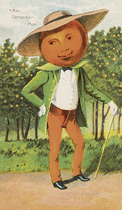 175x300 Vegetable Garden Drawings Fine Art America - Vegetable Garden Drawing