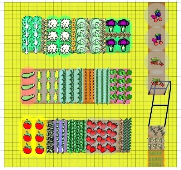 Vegetable Garden Drawing at PaintingValley.com | Explore collection of