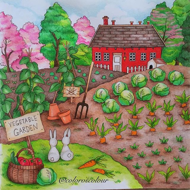 640x640 Vegetable Garden From Romantic Country Adult Coloring Book - Vegetable Garden Drawing
