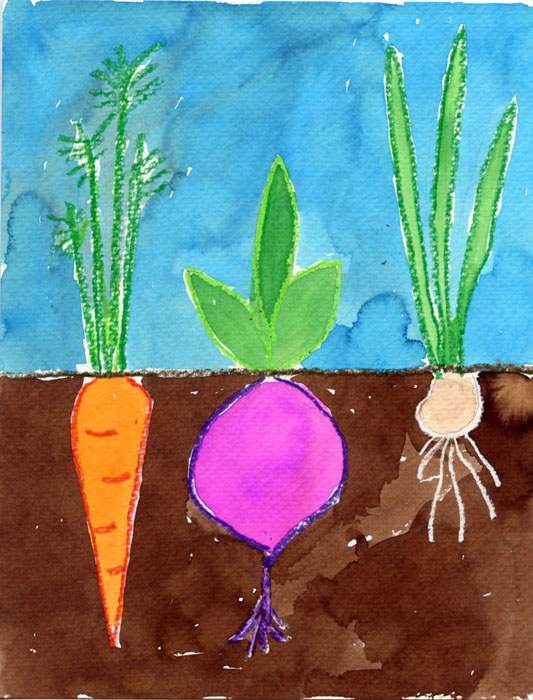 Vegetable Garden Drawing at PaintingValley.com | Explore collection of