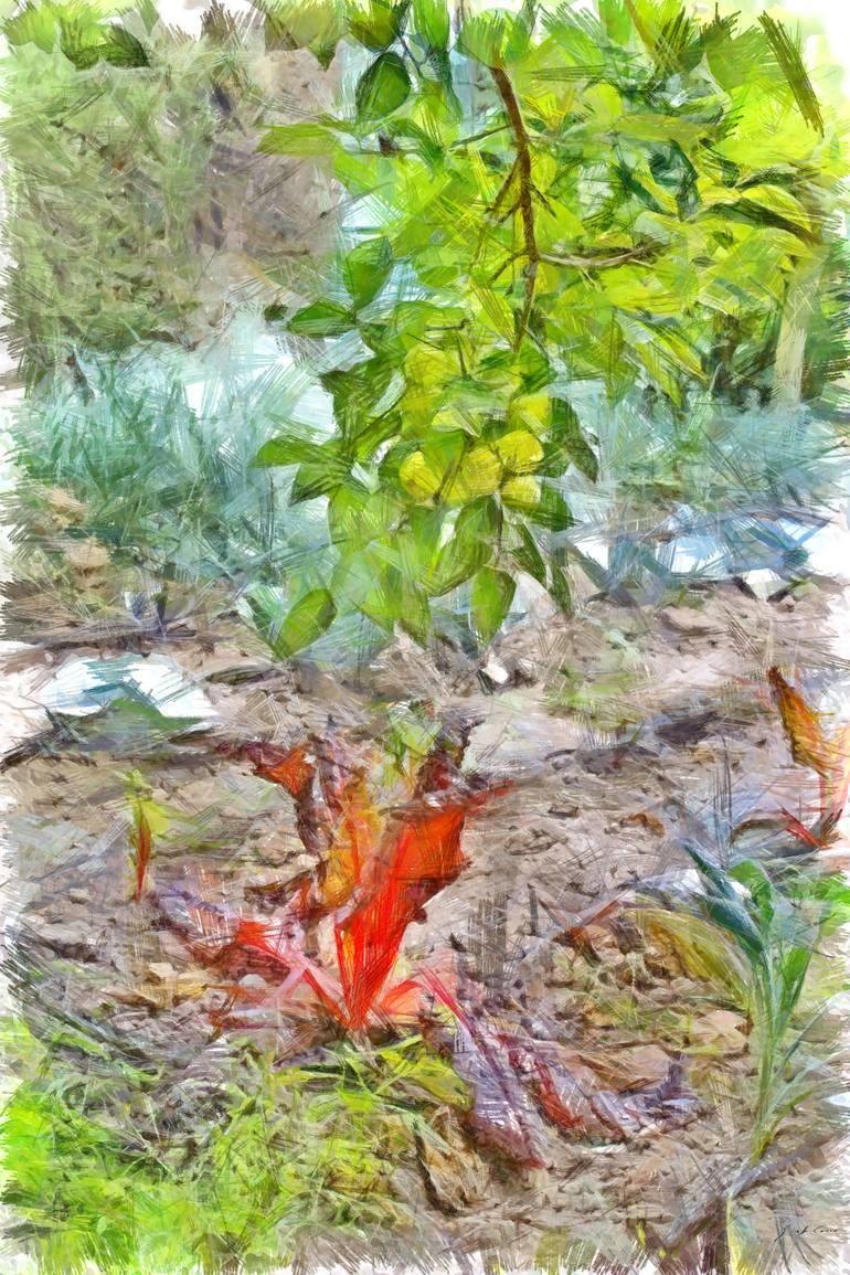 770x1155 Vegetable Garden Drawing - Vegetable Garden Drawing