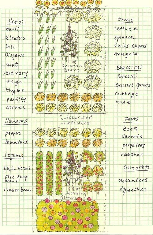 500x765 Vegetable Garden Drawing This Is So Pretty! - Vegetable Garden Drawing
