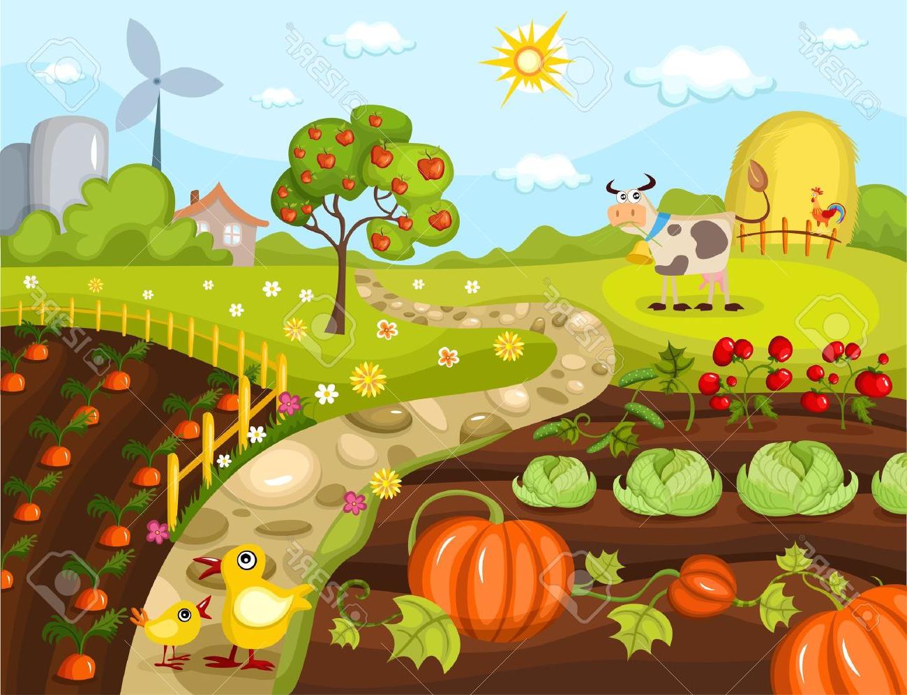 Vegetable Garden Drawing at PaintingValley.com | Explore collection of ...