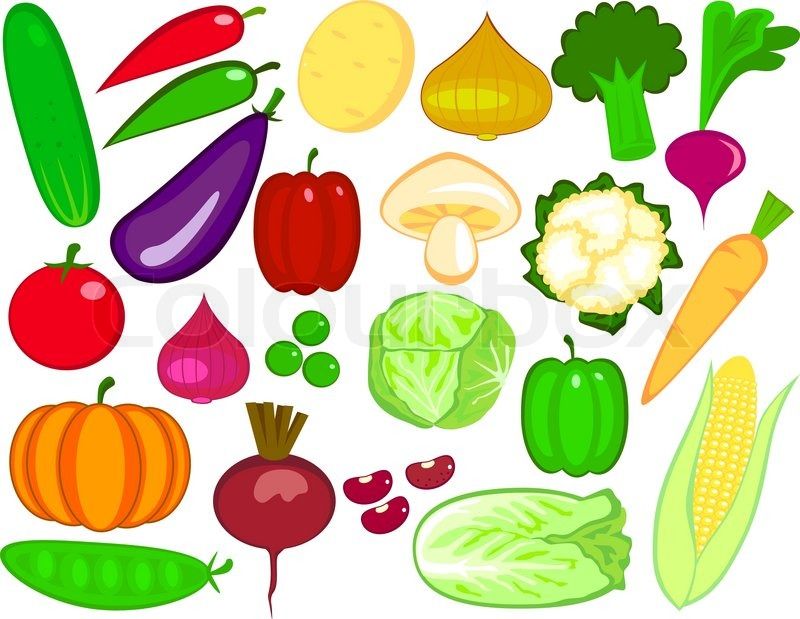 800x619 cute cartoon drawings of vegetables - Vegetables Cartoon Drawing