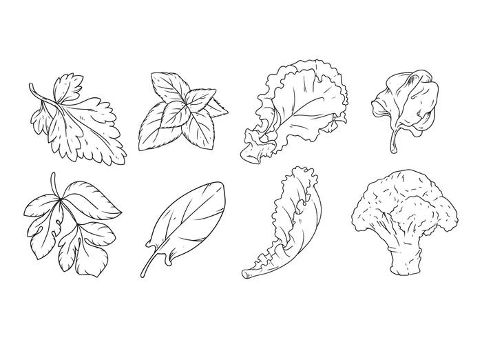 700x490 free hand drawing vegetables vector - Vegetables Drawing