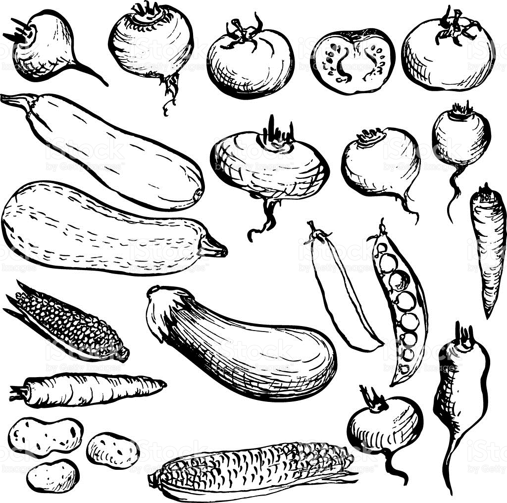 1024x1015 Loki Drawing Vegetable For Free Download - Vegetables Drawing