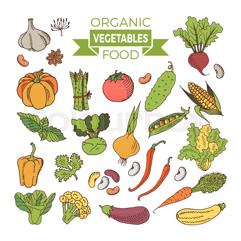 800x800 set of colored vegetables drawing - Vegetables Drawing