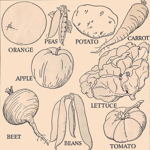 500x500 vegetable line drawings my style drawings, vegetable drawing - Vegetables Drawing