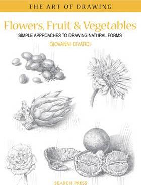280x368 art of drawing flowers, fruit vegetables giovanni civardi - Vegetables Drawing