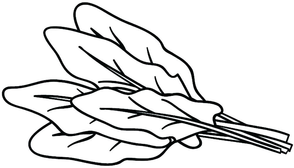 1000x571 coloring pictures of vegetables vegetable drawing for kids book - Vegetables Drawing For Kids