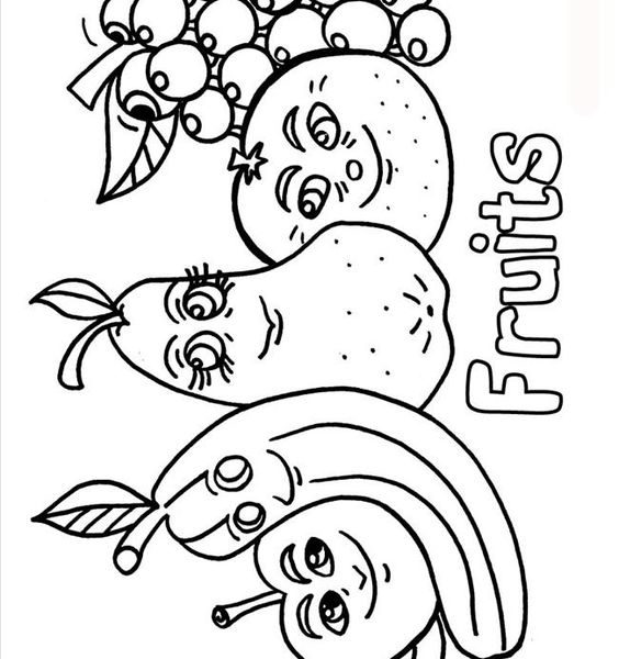 564x600 coloring fruits and vegetables drawing pictures of fruits - Vegetables Drawing For Kids