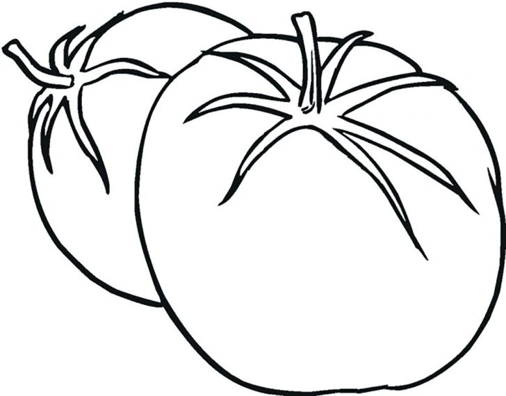 728x570 Coloring Pages For Adults Printable Online Games Squash - Vegetables Drawing For Kids