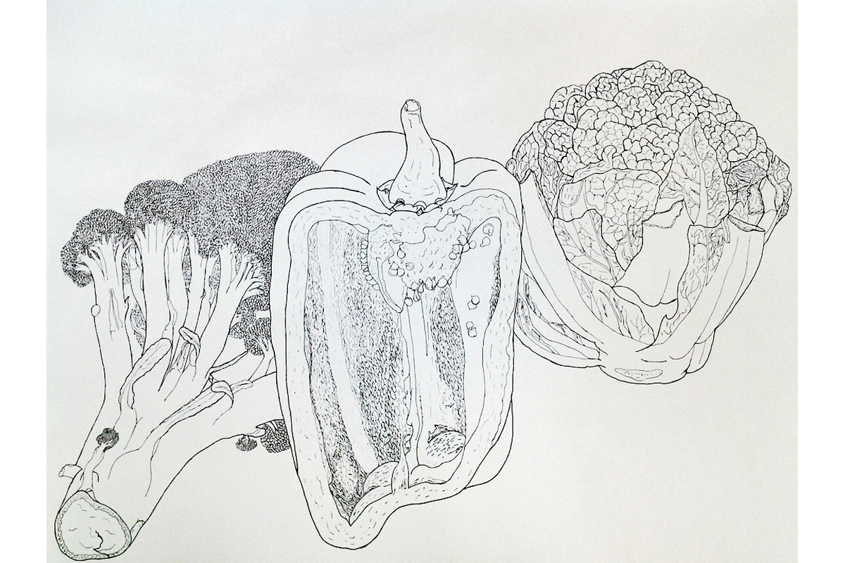 1200x800 Foundation Art Line Drawing Of Vegetables - Vegetables Line Drawing