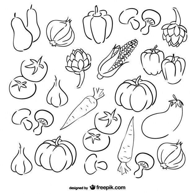 626x626 Set Of Vegetables - Vegetables Line Drawing