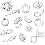 180x180 Vector Line Drawing Of Various Vegetables Canvas Print Canvas - Vegetables Line Drawing