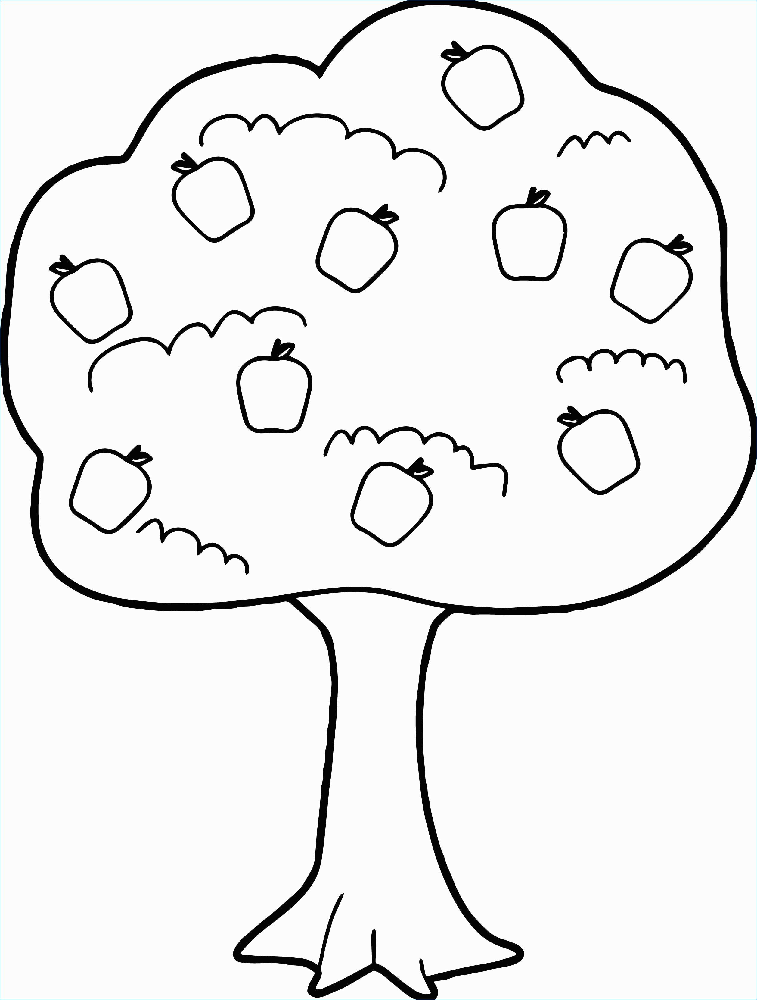 2515x3319 Vegetables Coloring Pages Beautiful Kids Coloring Apple Line - Vegetables Line Drawing