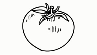 320x180 Tomato Fruit Vegetable Food Line Drawing Illustration Animation - Vegetables Line Drawing