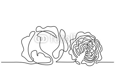 400x267 Continuous One Line Drawing Vegetables Two Cabbage Vector - Vegetables Line Drawing
