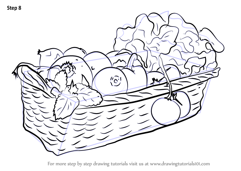 846x600 Drawing, Vegetable, Sketch, Transparent Png Image Clipart Free - Vegetables Line Drawing