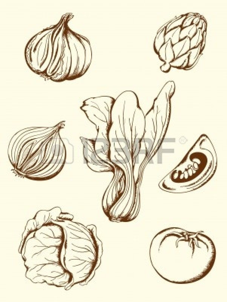 903x1200 set of hand drawn vector vintage vegetables icons vegetable - Veggie Drawings