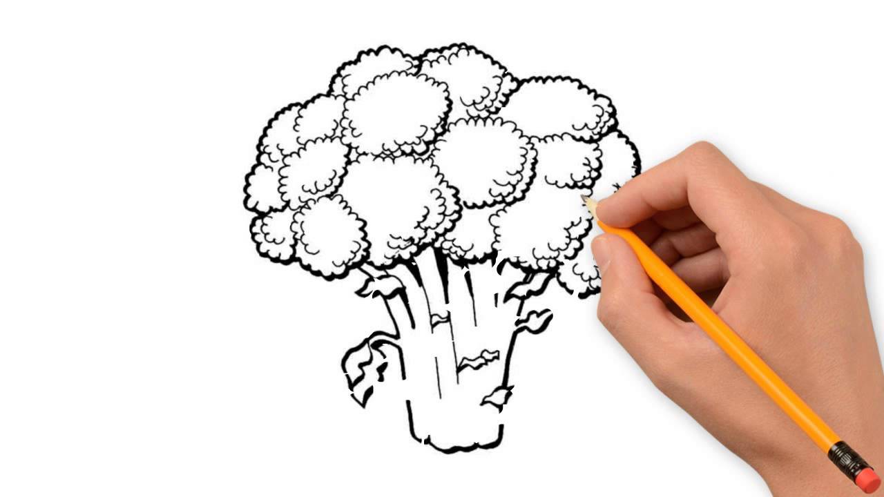 1280x720 vegetables the nature of a pencil to draw step - Veggie Drawings