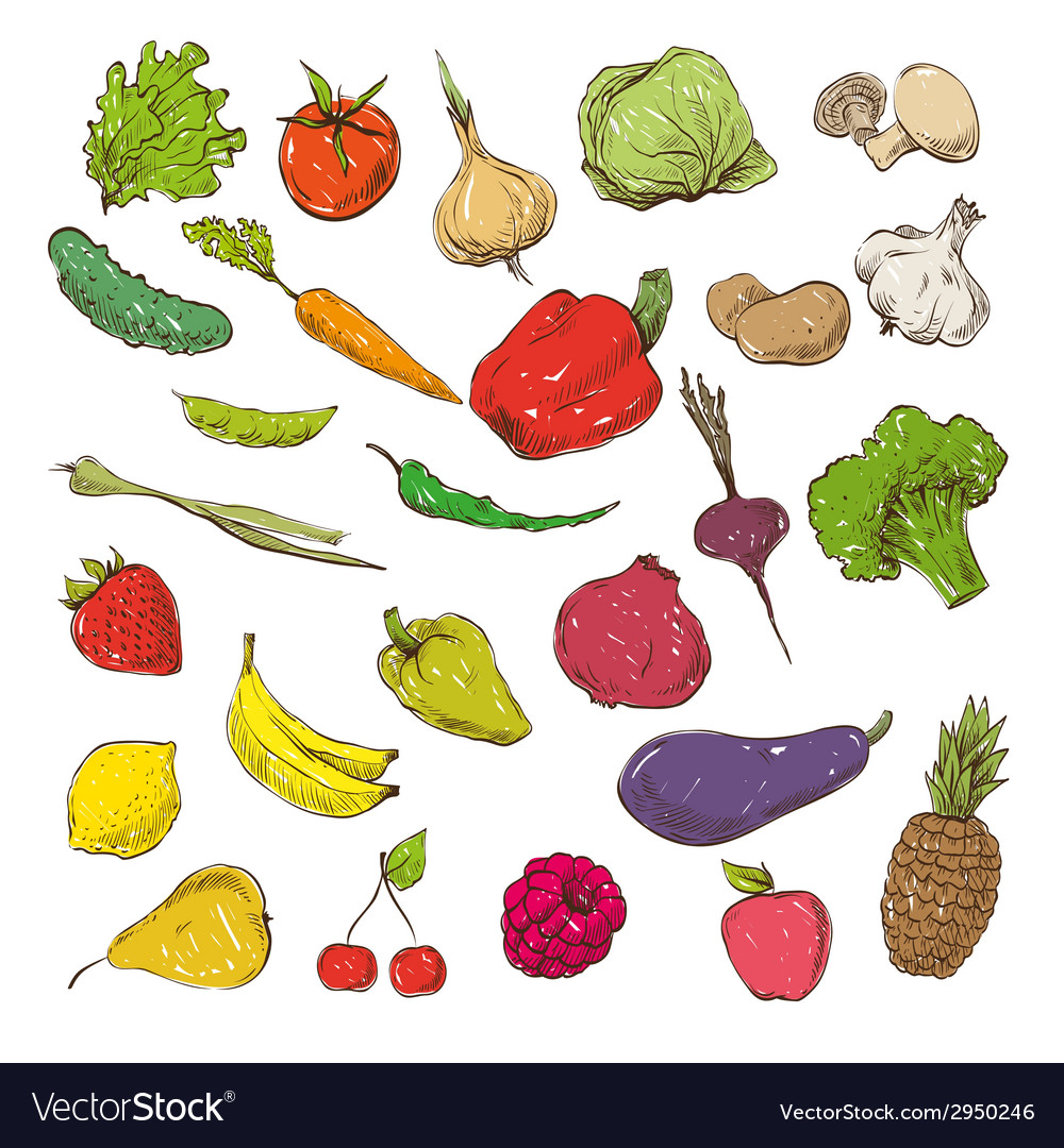 1000x1080 vegetable images free - Veggie Drawings