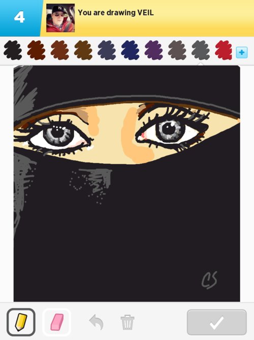 500x667 veil drawings - Veil Drawing