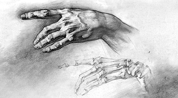 600x332 how to draw hands details for realistic hands! proko - Veins Drawing