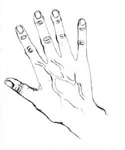 251x302 How To Draw Hands Step Drawings In How To Draw Hands - Veins Drawing