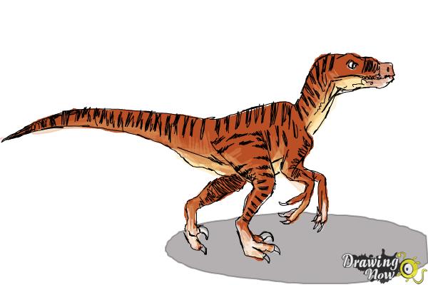 600x400 how to draw a velociraptor - Velociraptor Drawing