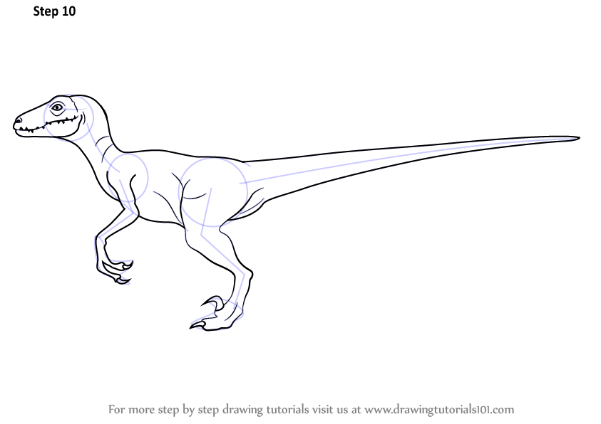 843x596 learn how to draw a velociraptor - Velociraptor Drawing
