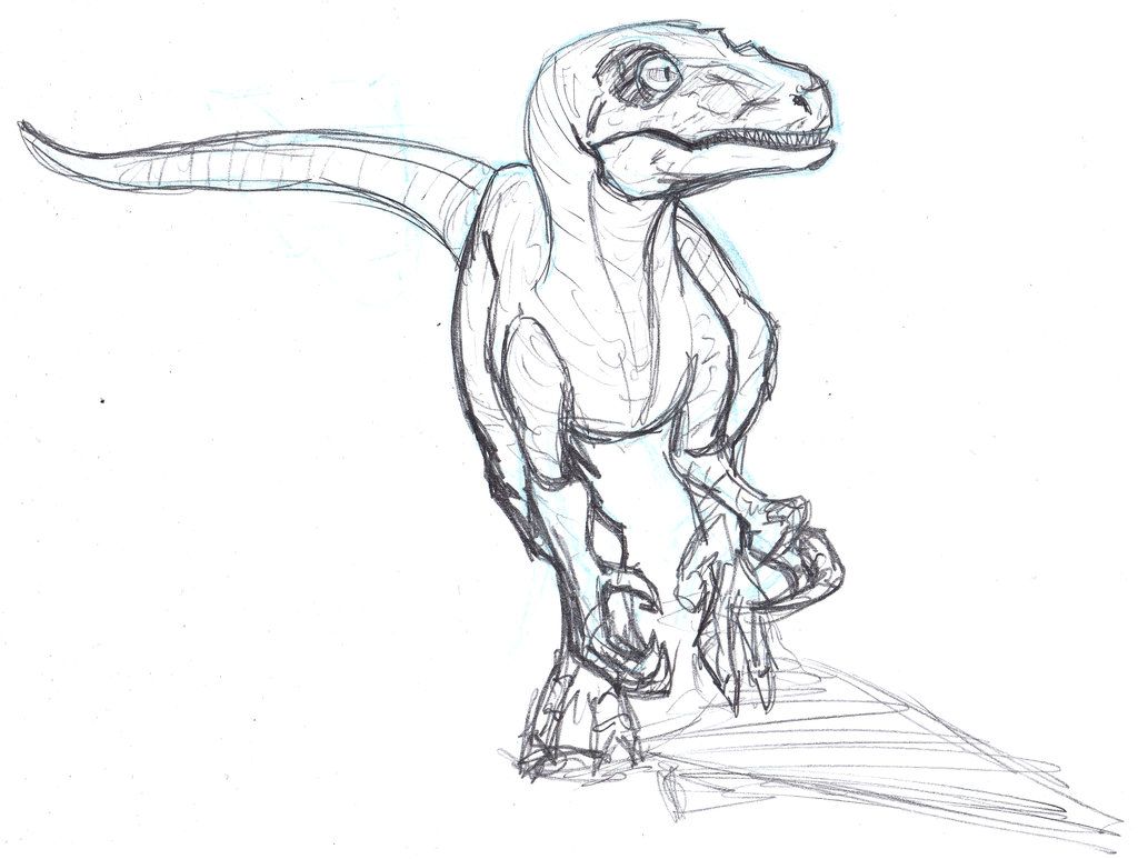1024x773 velociraptor sketch - Velociraptor Drawing