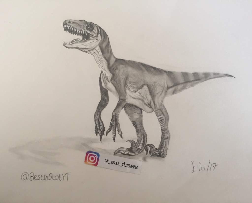 1024x827 velociraptor drawing prehistoric amino! amino - Velociraptor Drawing
