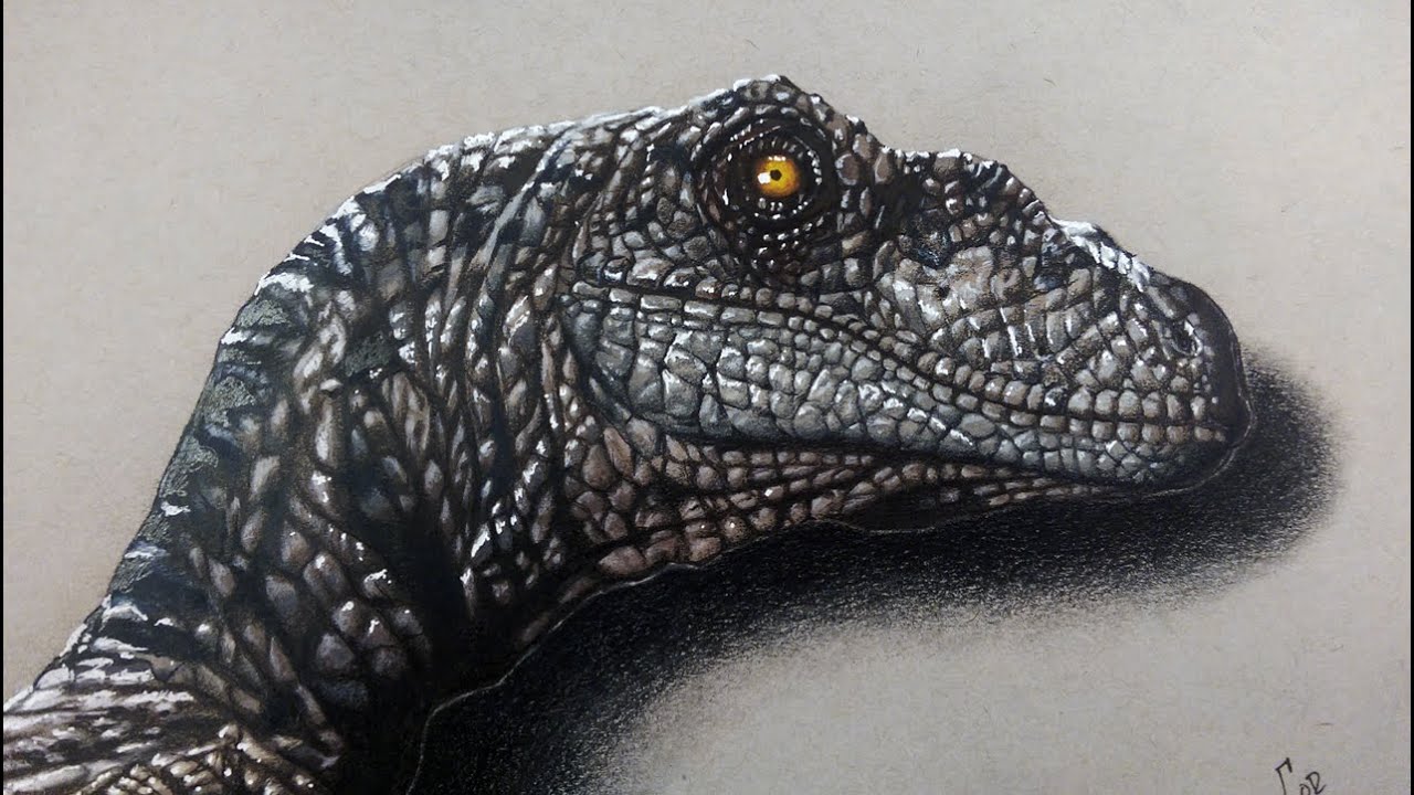 1280x720 drawing velociraptor - Velociraptor Drawing
