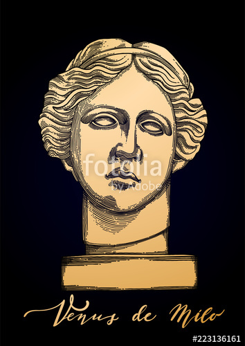 354x500 venus de milo head sculpture drawn in engraving technique stock - Venus De Milo Drawing