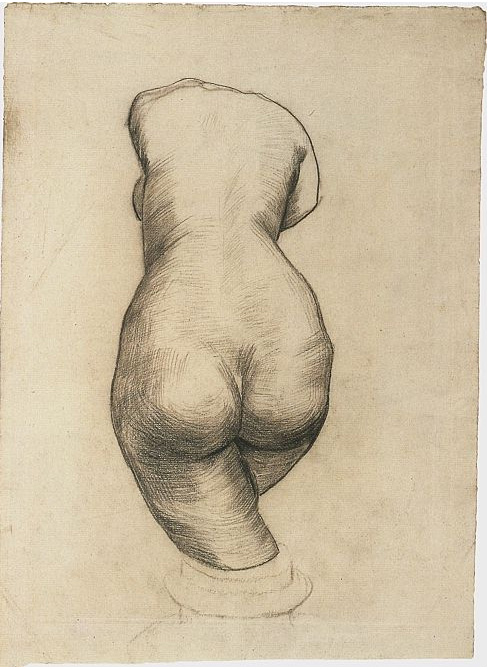 488x669 Torso Of Venus - Venus Drawing