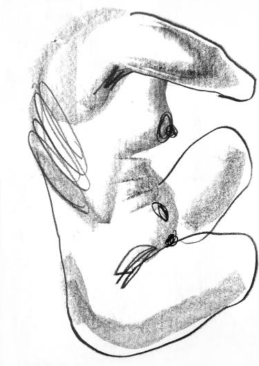 375x529 Venus Drawing - Venus Drawing