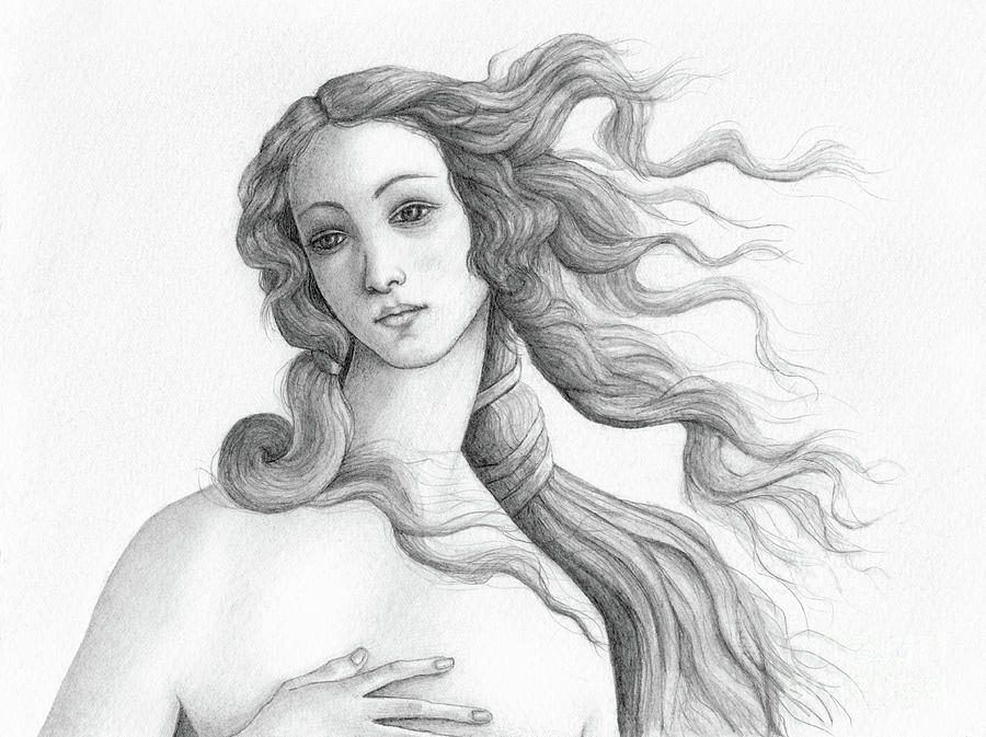 900x673 Botticelli's Birth Of Venus Drawing - Venus Drawing