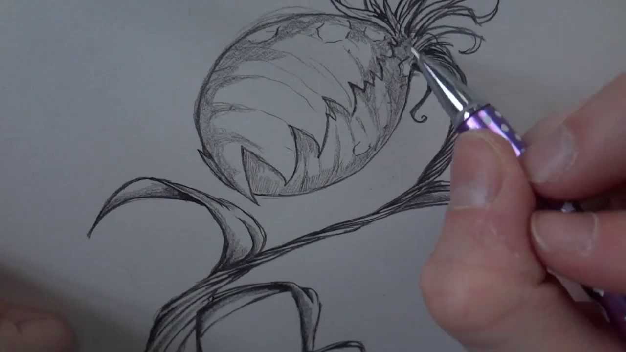 1280x720 hungry - Venus Fly Trap Drawing