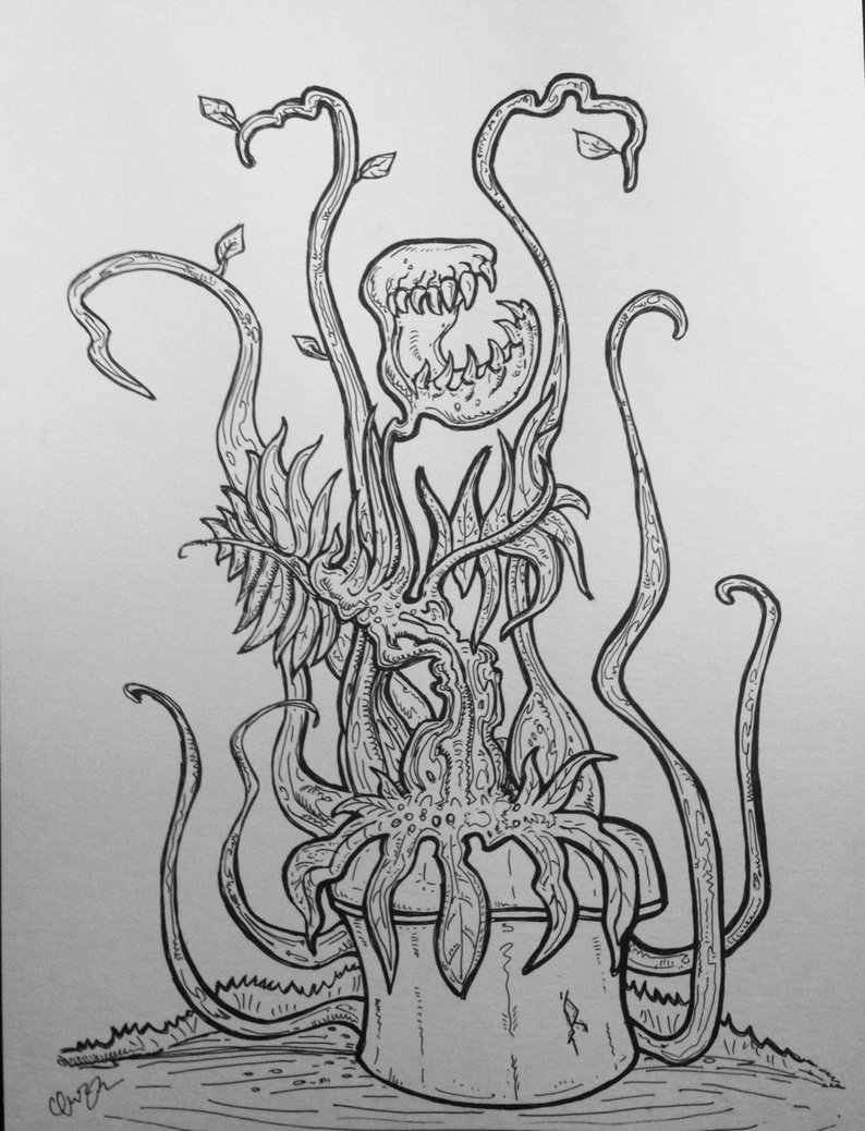 794x1038 Venus Flytrap Drawing Etsy - Venus Fly Trap Drawing