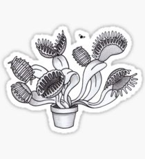 210x230 fly trap drawing stickers redbubble - Venus Fly Trap Drawing