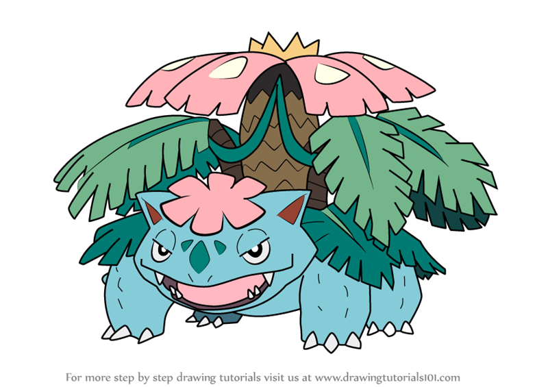 800x565 Learn How To Draw Mega Venusaur From Pokemon - Venusaur Drawing