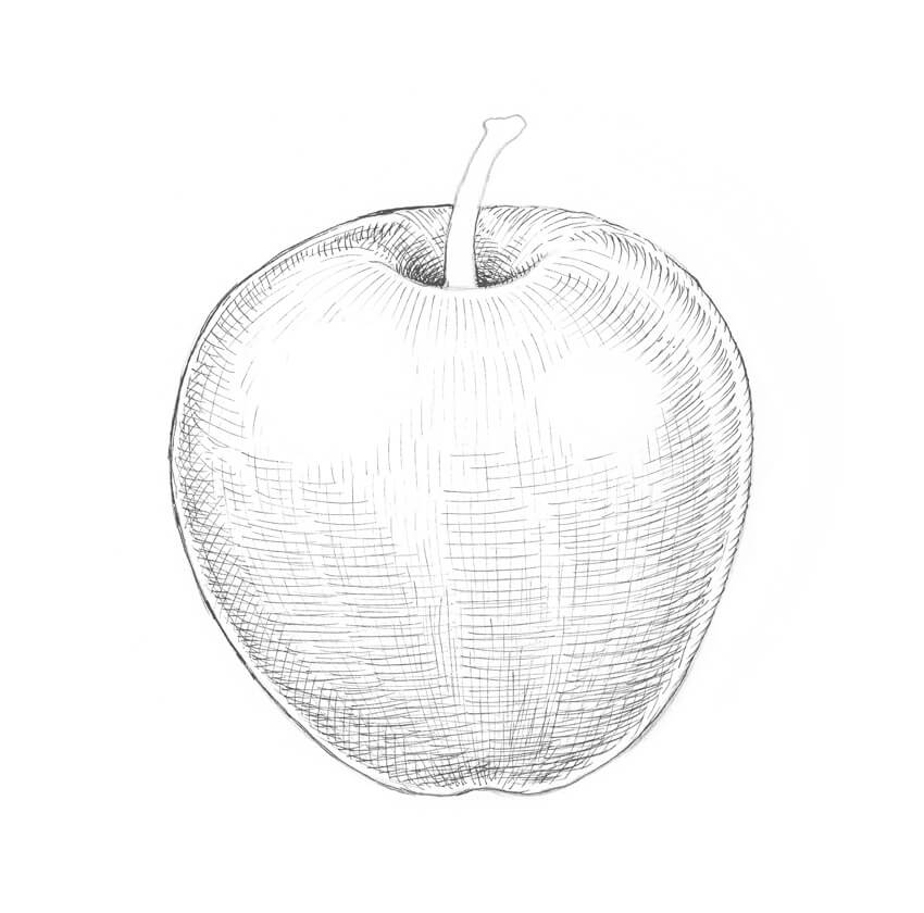 850x840 how to draw an apple - Vertical Drawing