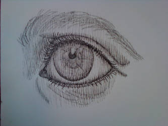 333x250 vertical line drawing - Vertical Drawing